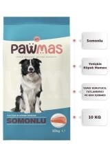 Pawmas Salmon Adult Dog Food 10 Kg